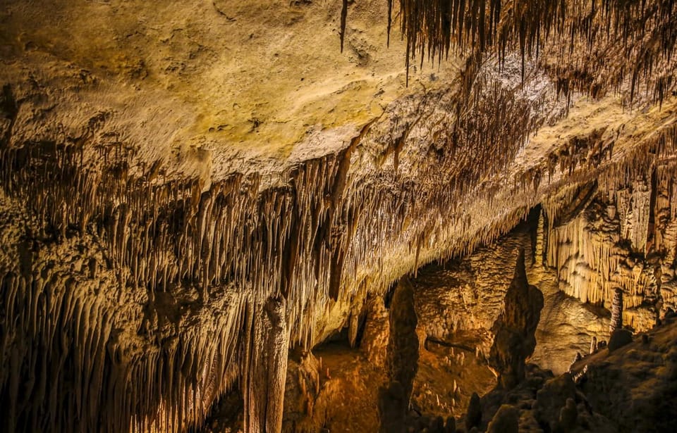 Palma: Caves of Drach Entrance, Music Concert, and Boat Trip - Palma to Porto Cristo: getting there without the hassle