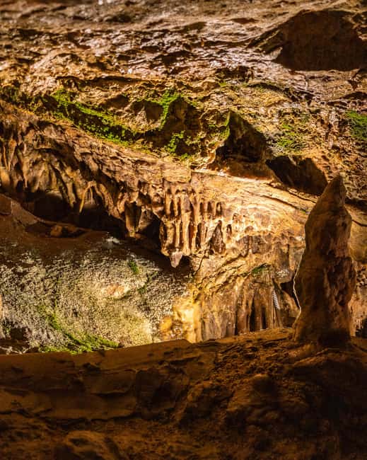 Palma: Caves of Genova Ticket & Digital Informational Video - Where the tour starts (and why the meeting point matters)