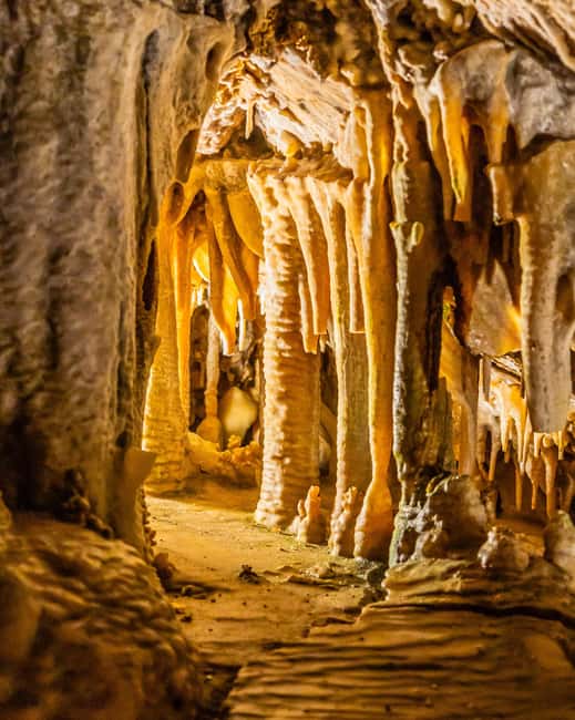 Palma: Caves of Genova Ticket & Digital Informational Video - Should you book the Caves of Genova ticket?