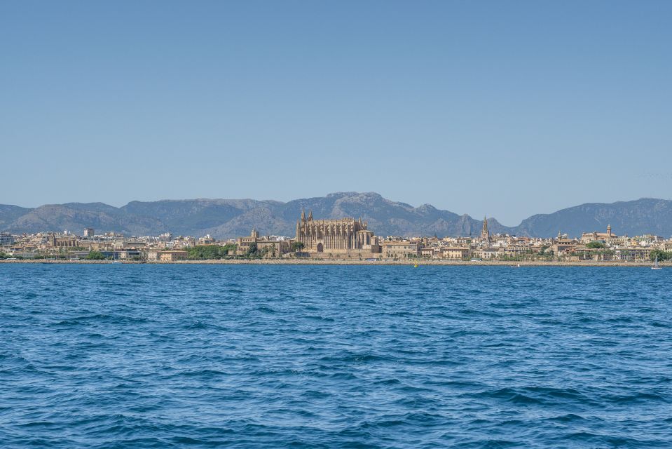 Palma de Mallorca: 5-Hour Catamaran Cruise with Lunch & Swim - Key Highlights You’ll Notice Right Away