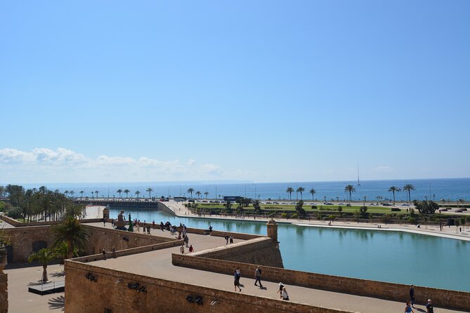 Palma de Mallorca Easy Bike Tour (Small Groups) - A quick way to get oriented in Palma
