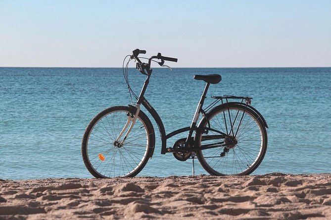 Palma de Mallorca Easy Bike Tour (Small Groups) - Palau de l’Almudaina: royal power and big views