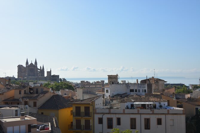Palma de Mallorca Easy Bike Tour (Small Groups) - La Seu (Palma Cathedral): the skyline moment you can’t miss
