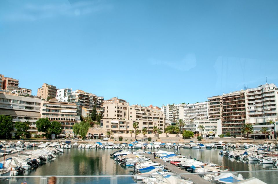 Palma de Mallorca: Full-Day Tour with Departure Options - Arrival by the Cathedral: Parc de la Mar First Impression