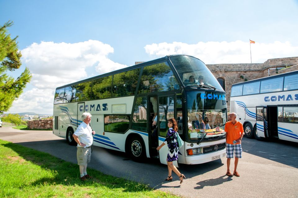 Palma de Mallorca: Full-Day Tour with Departure Options - Guided Orientation: Seeing Palma’s Top Attractions Without Overthinking