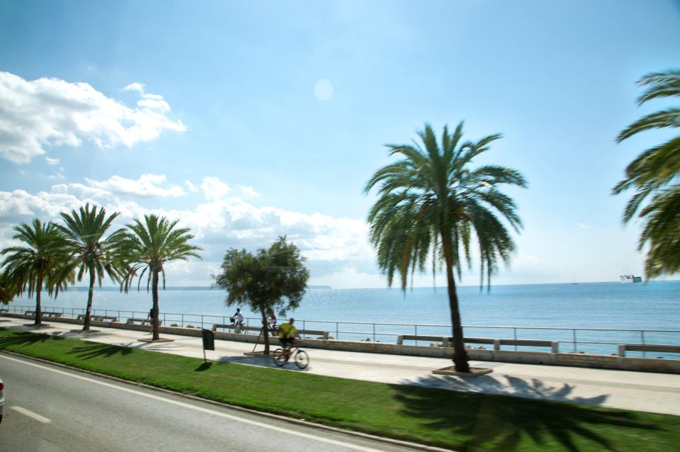 Palma de Mallorca: Full-Day Tour with Departure Options - Getting There: Alua Boccaccio Start and Comfortable Transport