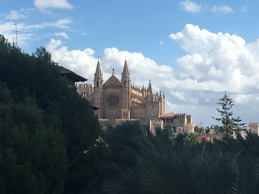 Palma de Mallorca: Guided Tour of the Old Town - Quick hits on Palma’s old town tour