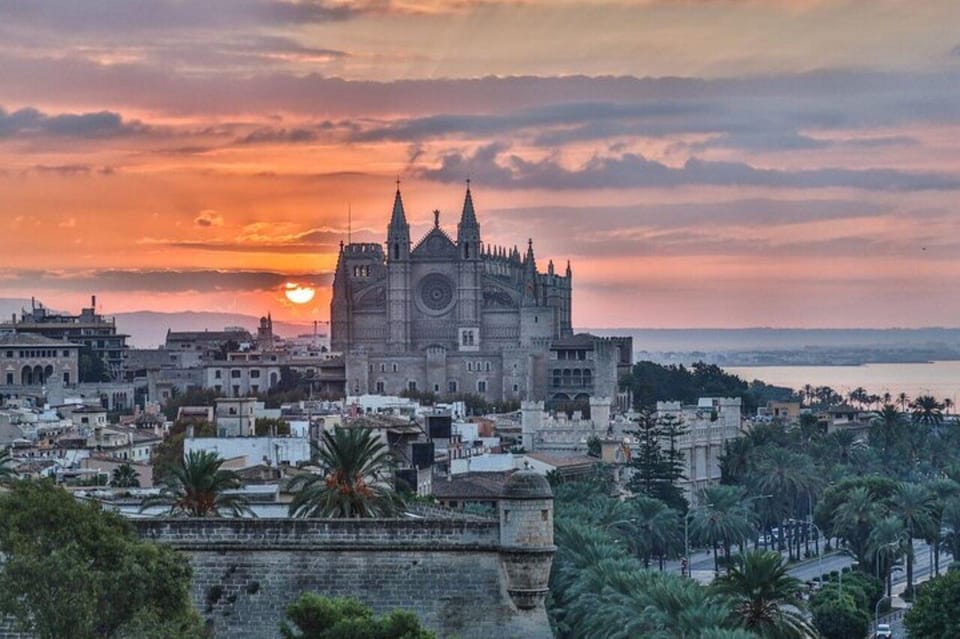 Palma de Mallorca : Must see Walking Tour With A Guide - Starting at Pg. del Born: the easiest way to get oriented