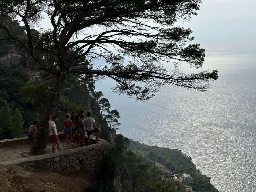 Palma de Mallorca: North Coast Nature Escape Day Tour - Caves, Viewpoints, And That Sea-Walk Finish