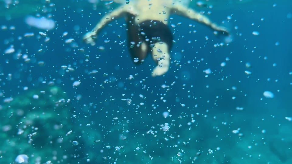 Palma de Mallorca: North Coast Nature Escape Day Tour - The 8-Hour Rhythm: Van, Walk, Swim, Repeat