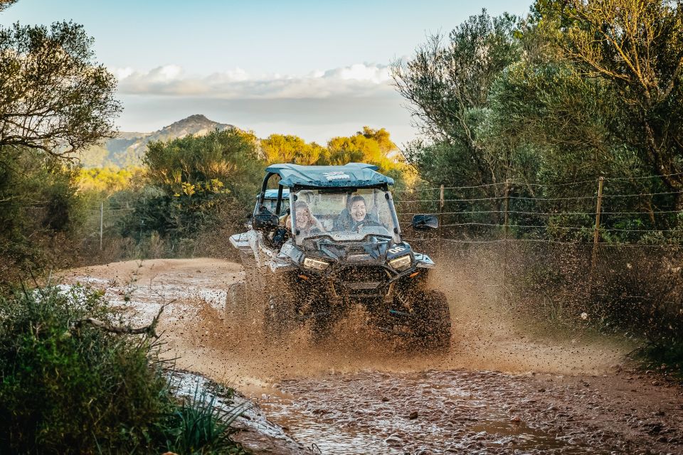 Palma de Mallorca: Off/On Road Buggy Tour with 2 or 4 Seater - Should you book this buggy tour from Palma?