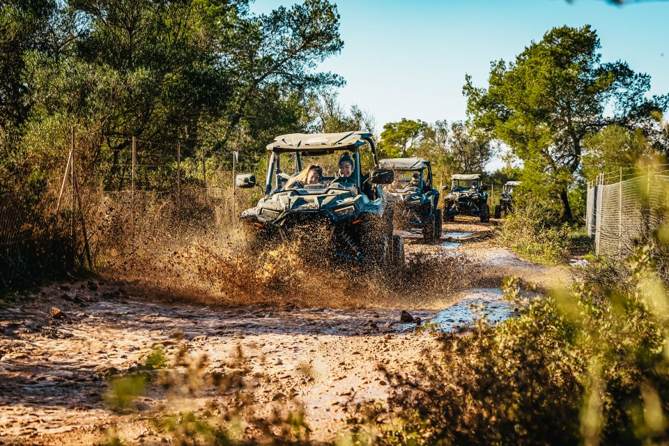 Palma de Mallorca: Off/On Road Buggy Tour with 2 or 4 Seater - Price and value: how to decide if $283 per group makes sense