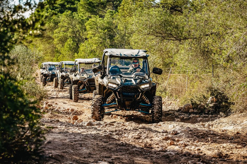 Palma de Mallorca: Off/On Road Buggy Tour with 2 or 4 Seater - Who this tour fits best (and who should skip it)
