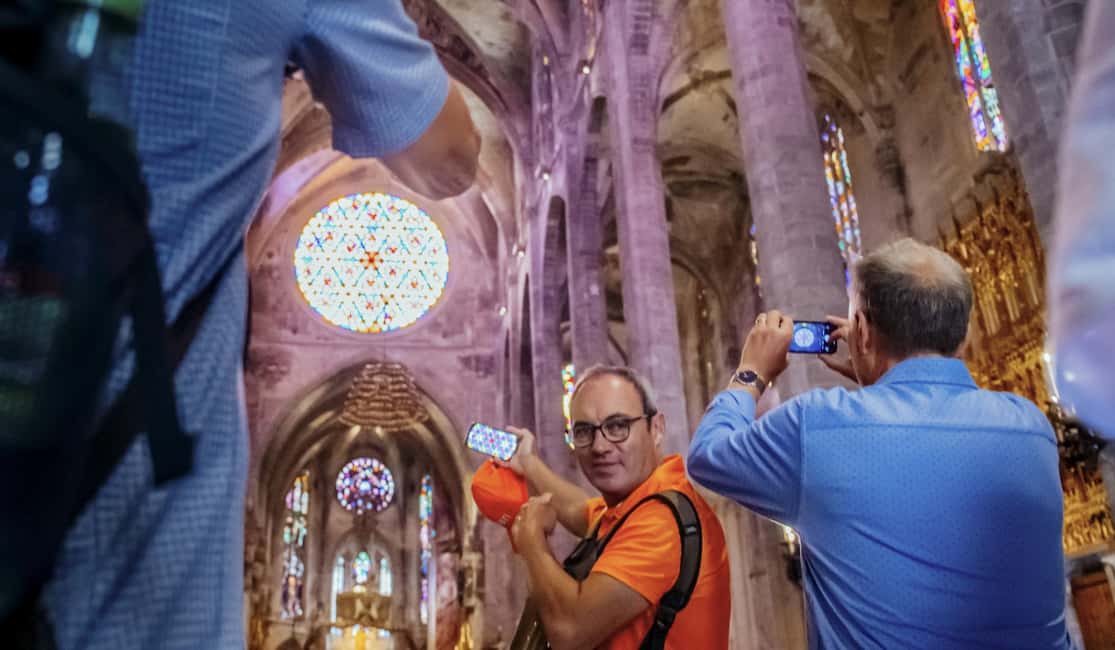 Palma de Mallorca: Old Town and Cathedral Tour - Guide Quality and Group Pace: What You Should Expect