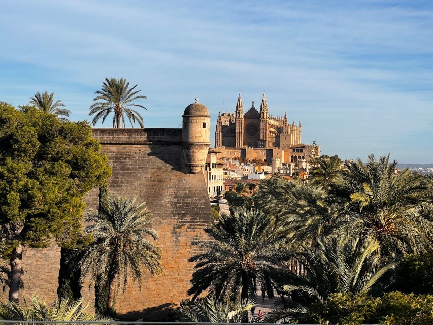 Palma de Mallorca: Old Town Atmospheric Evening Tour - Palma Cathedral, La Llotja, Consolat del Mar: seeing the city’s power in the dark