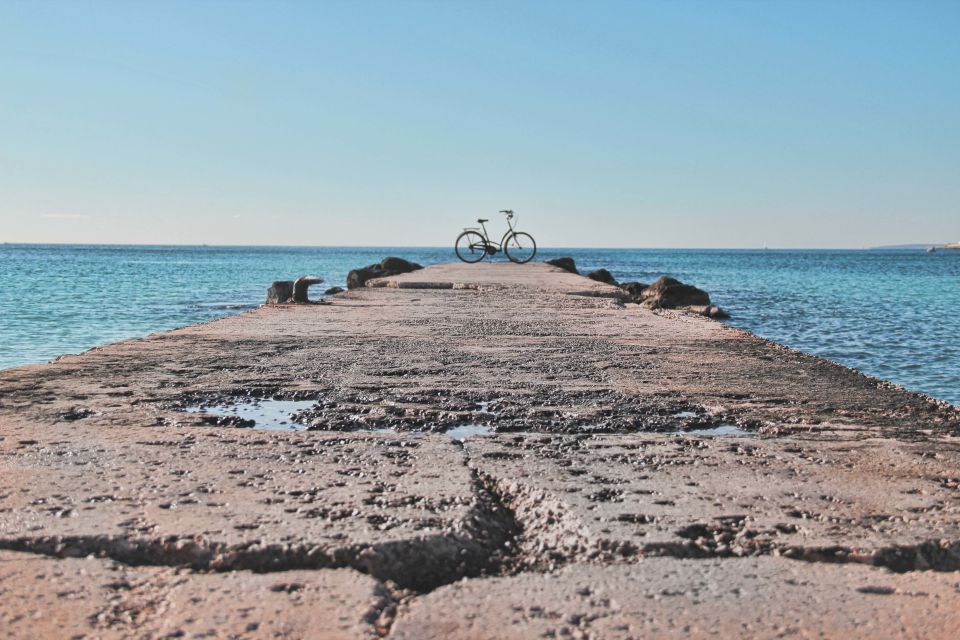 Palma de Mallorca Old Town Guided Bike Tour (Small Groups) - Lonja de Mallorca: the city’s trading power, in stone