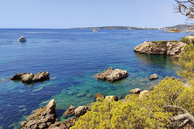Palma de Mallorca: Small Group Tour by Locals in Hidden Coves - Key highlights at a glance