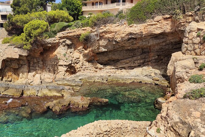 Palma de Mallorca: Small Group Tour by Locals in Hidden Coves - Why this Palma coast tour feels local