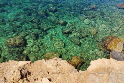 Palma de Mallorca: Small Group Tour by Locals in Hidden Coves - Meeting point in Bendinat: timing, shoes, and expectations