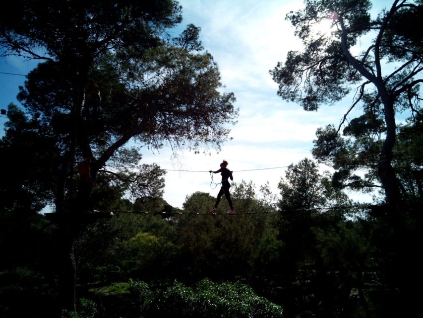 Palma: Family or Sports Course Adventure at Forestal Park - Key things I’d plan around before you go