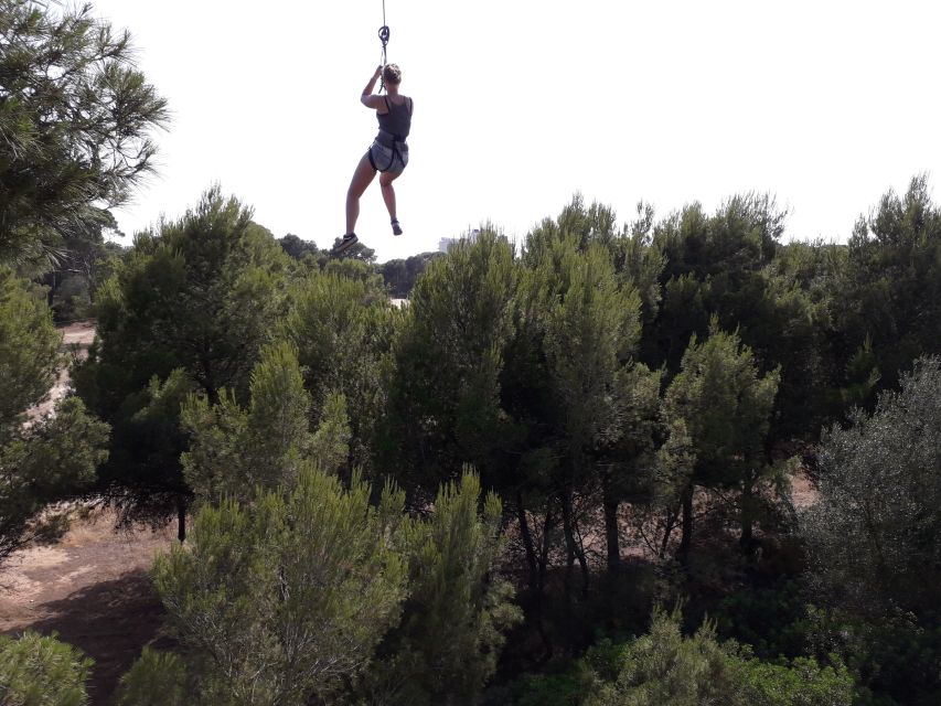 Palma: Family or Sports Course Adventure at Forestal Park - Meet the staff and how instruction changes the experience