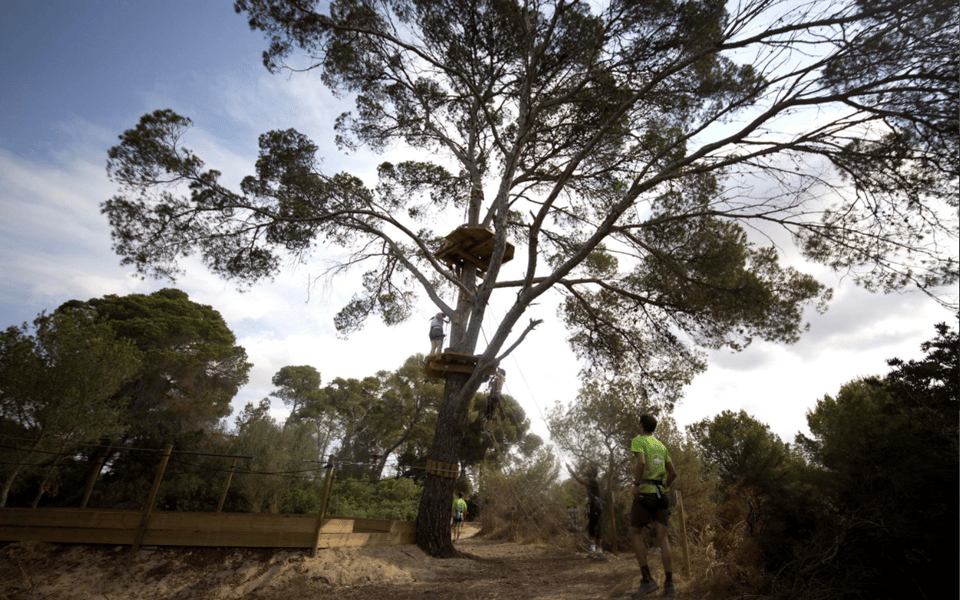 Palma: Family or Sports Course Adventure at Forestal Park - Clothing, shoes, and the small safety details you should not skip