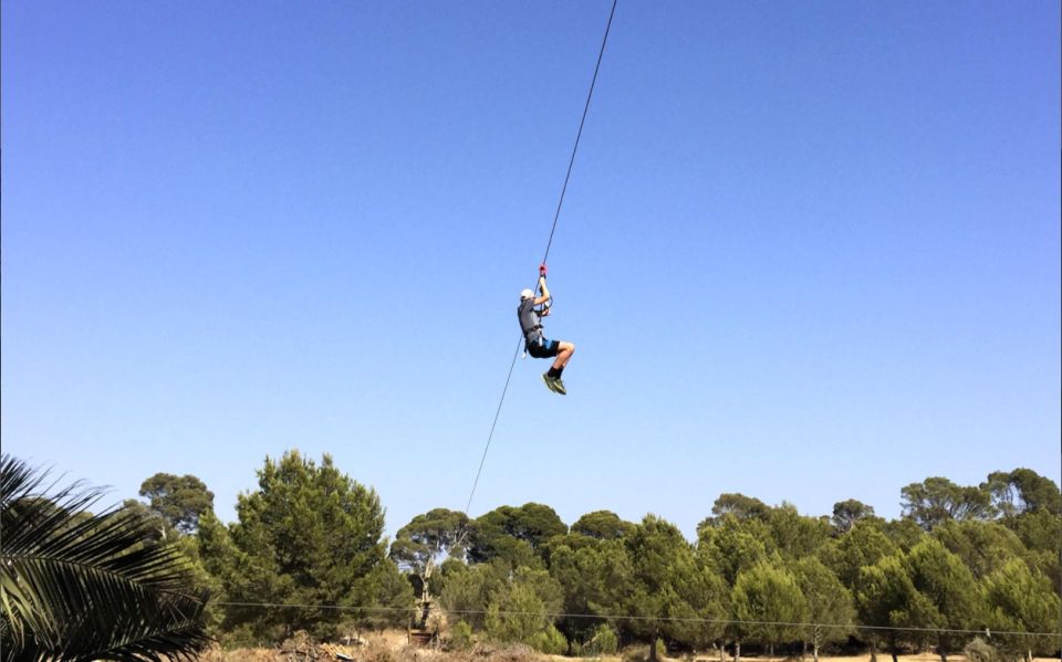 Palma: Family or Sports Course Adventure at Forestal Park - Where you eat: bring a picnic or plan on limited snacks