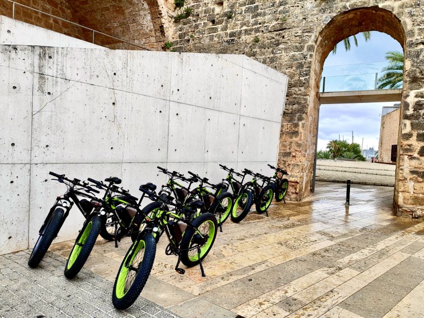 Palma: Guided City Tour with a Fat Tire E-Bike - Palma Cathedral (La Seu): The Cathedral of Light, Up Close and On the Clock