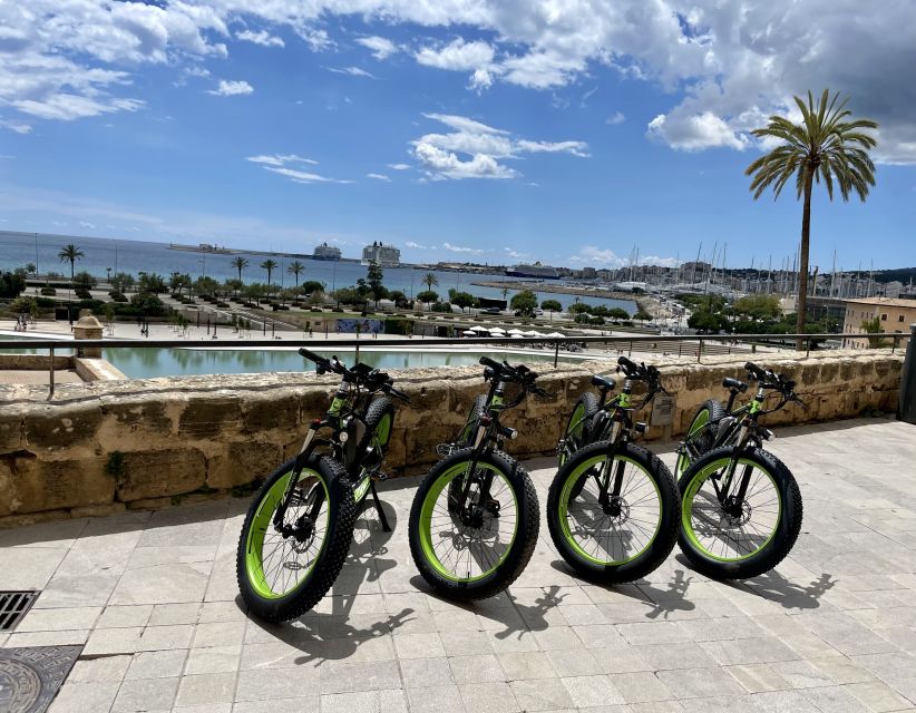 Palma: Guided City Tour with a Fat Tire E-Bike - Portixol: Waterfront Cafés, Local Energy, and Photo Stops That Feel Natural