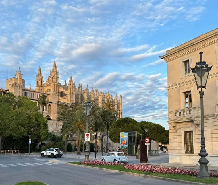 Palma in person and away from the crowds - Pace, Steps, and Shoe Choice for 100 Minutes