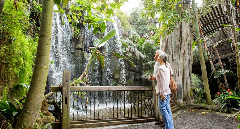 Palma: Palma Aquarium Ticket with Transfer Service - Daily feedings: when to time your wander