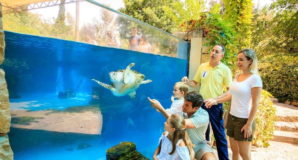 Palma: Palma Aquarium Ticket with Transfer Service - Jellyfish area and the 1-kilometer habitat walk