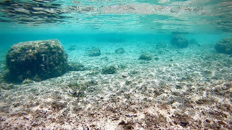 Palma: Private Boat Tour in Mallorca with Snorkel and Paddle - Who this is for (and who should skip) on Mallorca water