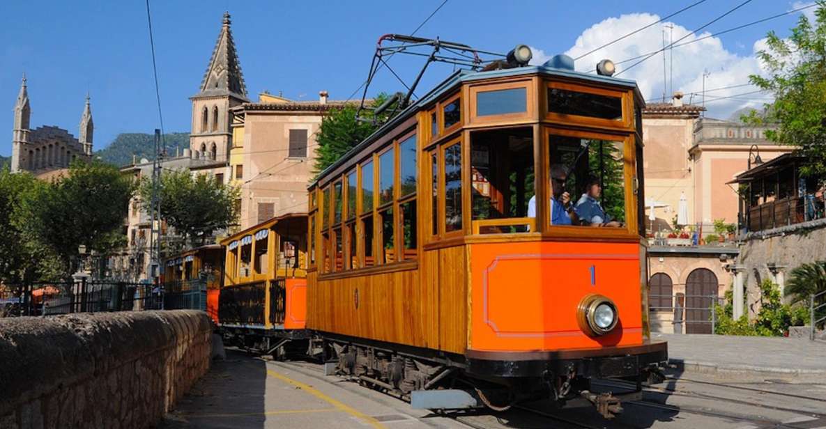 Palma: Tramuntana Full-Day Tour with Sóller Train and Lunch - Port de Sóller and tapas: when the sea becomes part of the meal