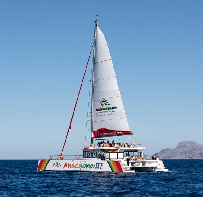 Port d'Alcudia: North Coast Catamaran Cruise with Meal - Getting Value from an $80 Price Tag