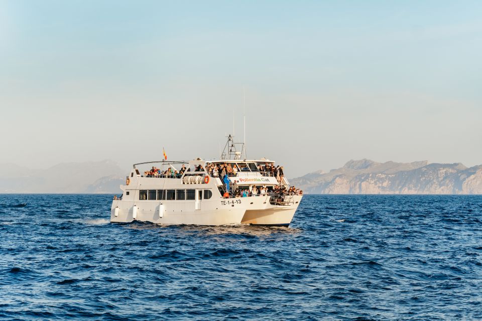 Port d'Alcudia: Sunrise at Sea & Dolphin Watching Boat Tour - Key Things I’d Mark on Your Mental Map