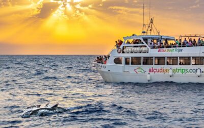 Port d'Alcudia: Sunrise at Sea & Dolphin Watching Boat Tour - The Sunrise Sail: why “3 hours” feels shorter than it should