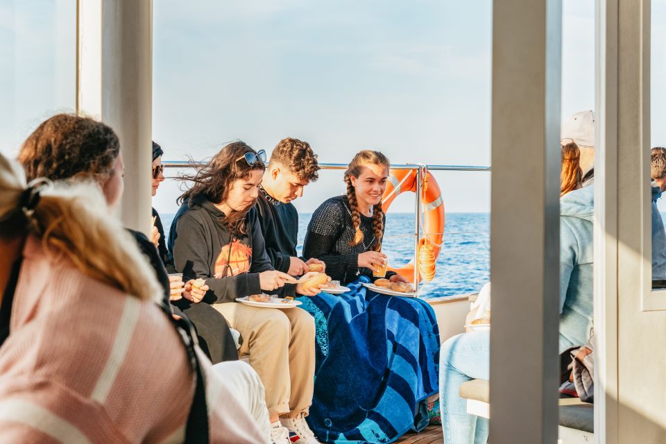 Port d'Alcudia: Sunrise at Sea & Dolphin Watching Boat Tour - Sea Conditions and Comfort: the small details that make or break the morning