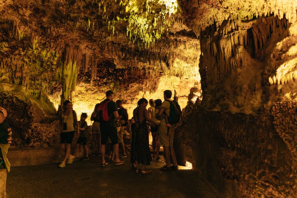 Porto Cristo: Caves of Hams Entry Ticket - Price and value: $21 is reasonable for a show-and-caves combo