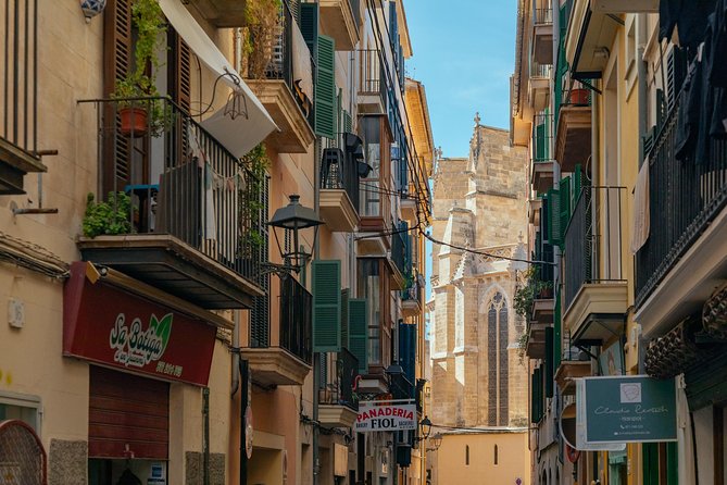 PRIVATE TOUR of Palma de Mallorca: Highlights & Hidden Gems - Meeting Point in Palma’s Old Core (and Why It’s a Plus)