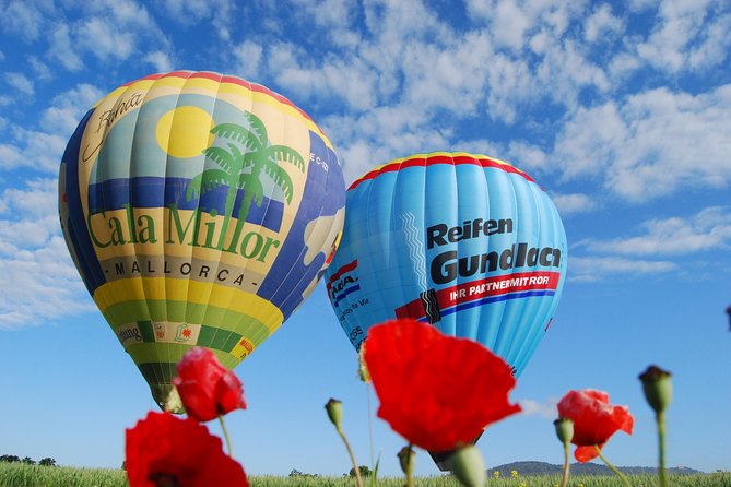 Romantic Sunrise Balloon Tour in Majorca - Communication That Matters: WhatsApp the Day Before (And Why It’s Not Optional)