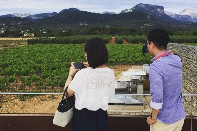 Sa Clasta Mallorca Wine Tours - A Six-Hour Schedule Built Around Two Very Different Stops