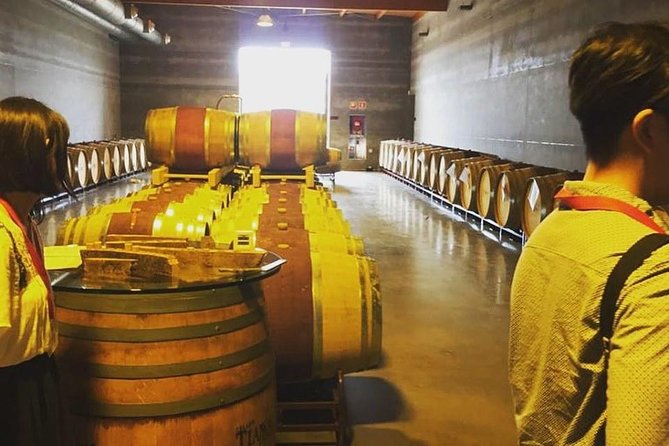 Sa Clasta Mallorca Wine Tours - Getting From Palma and Around Mallorca Without the Headache