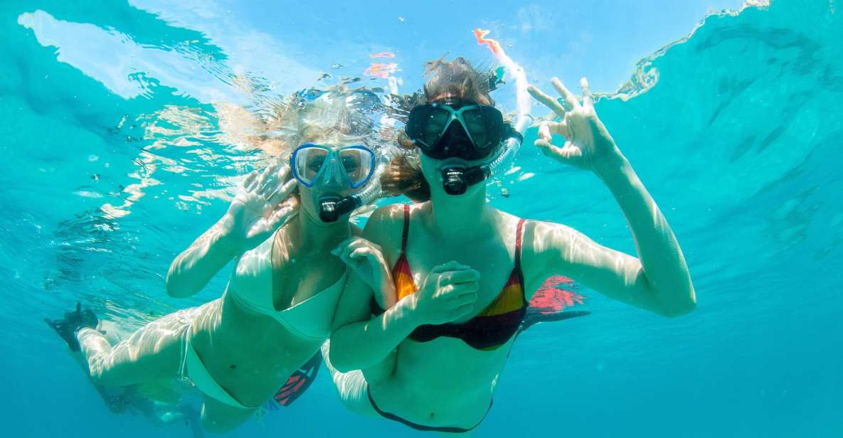 Santa Ponsa: Snorkeling Tour in a Marine Reserve - The 3-hour rhythm: pickup, briefing, neoprene fitting, and water time