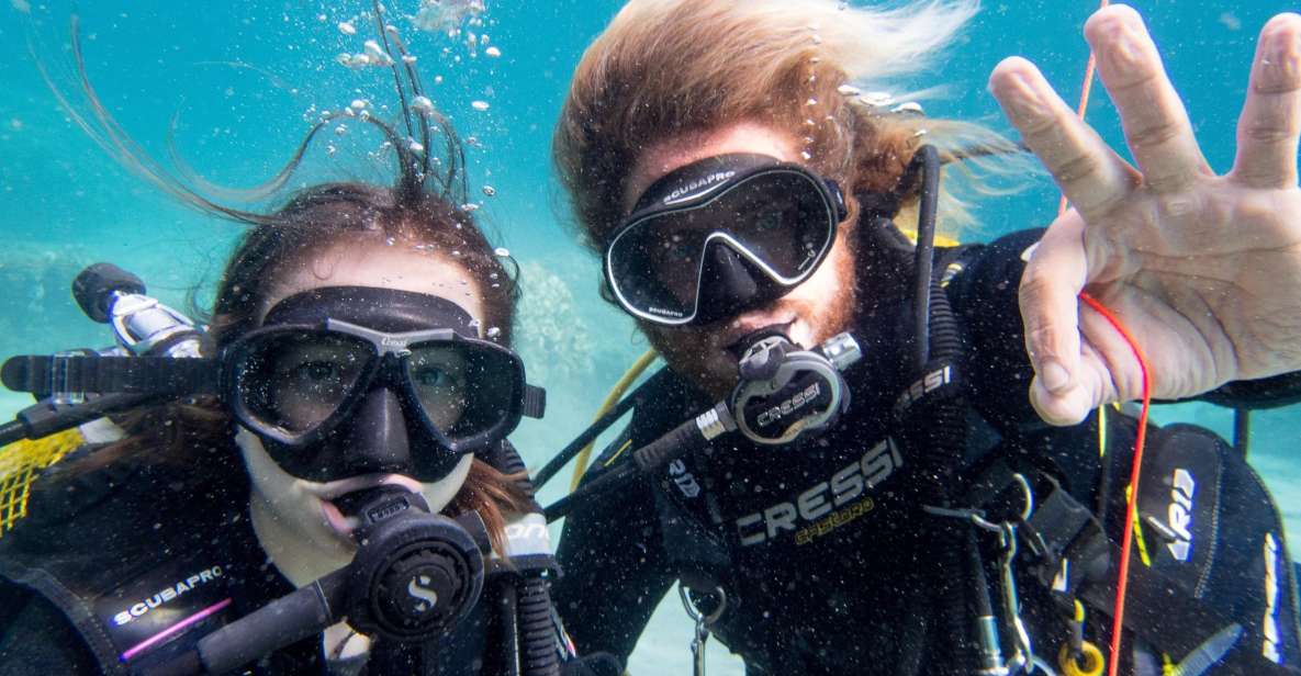 Santa Ponsa: Try Scuba Diving in a Marine Reserve - Key highlights worth caring about