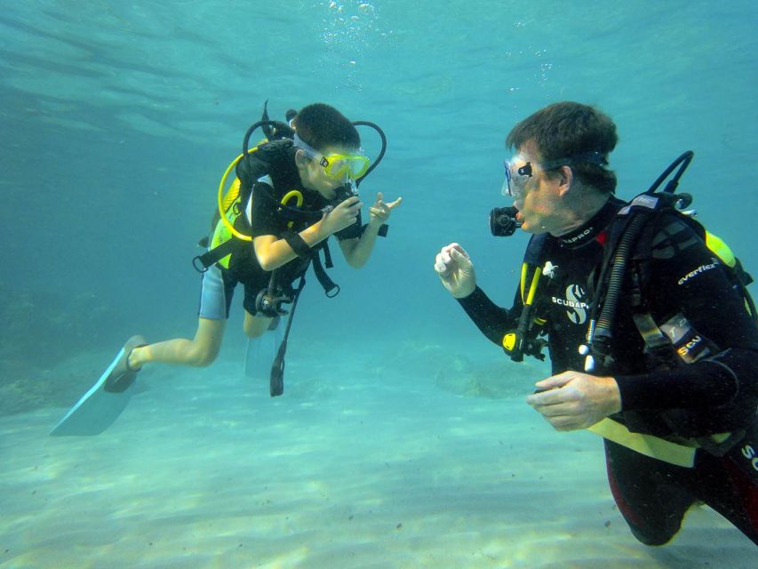 Santa Ponsa: Try Scuba Diving in a Marine Reserve - Price and value: is $130 worth it in Santa Ponsa?
