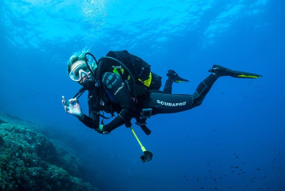 Santa Ponsa: Try Scuba Diving in a Marine Reserve - Logistics that matter: what to bring and how to show up ready