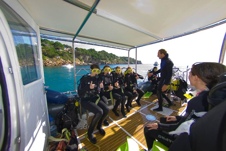 Santa Ponsa: Try Scuba Diving in a Marine Reserve - Who should book this, and who should skip it