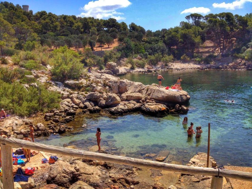 Santa Ponta/Peguera: Dragonera Island Cruise with Swim Stop - Key takeaways before you go
