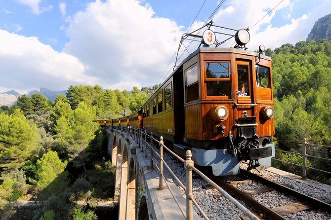 Scenic tour by Train, Tram and Boat through the lakes - Why This Train, Tram and Boat Loop Feels Like a Day With Multiple Best Hits